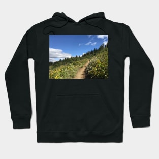 Up Hill Trail Hoodie